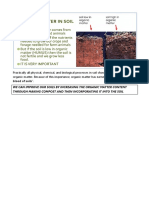 Practical IGCSE Soils Organic Matter