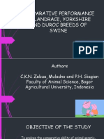 Comparative Performance of Landrace, Yorkshire and Duroc