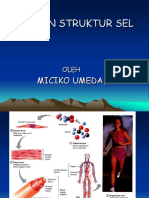 Sel Dan Struktur Fungsi Sel 11 Sept 2017 Pakai