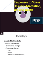 01 Cellular Responses To Stress and Toxic Insults Adaptation, Injury, and Death
