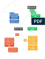 Derecho Positivo y Nat.