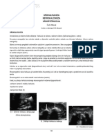 Urokalkuloza PDF