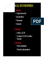 17 Corneal Dystrophies