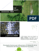 Sistema Nacional de Evaluación Del Impacto Ambiental