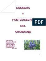 arandano.pdf