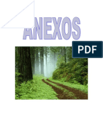 Anexos