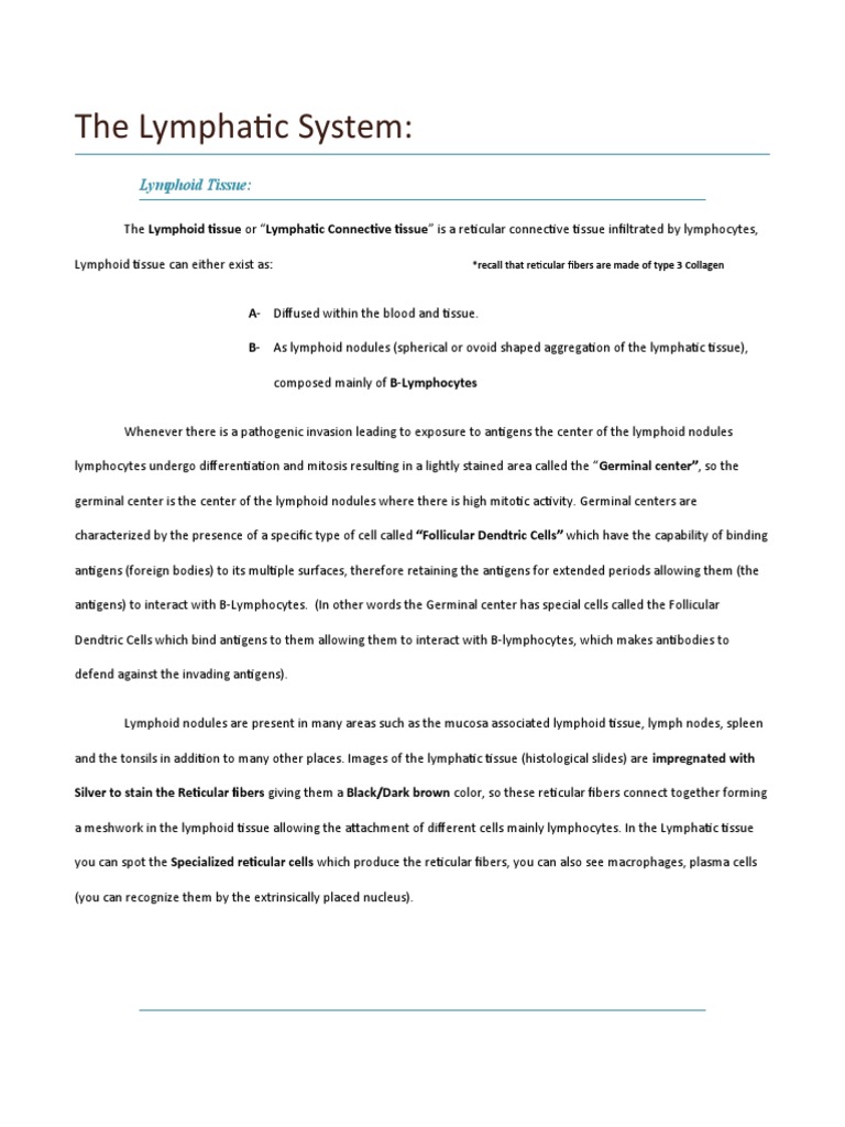 Histology of Lymphoid Tissue and Organs | PDF | Lymph Node | Human Anatomy