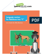 Lenguaje canino: entiende a tu perro con las 3 fabulosas C