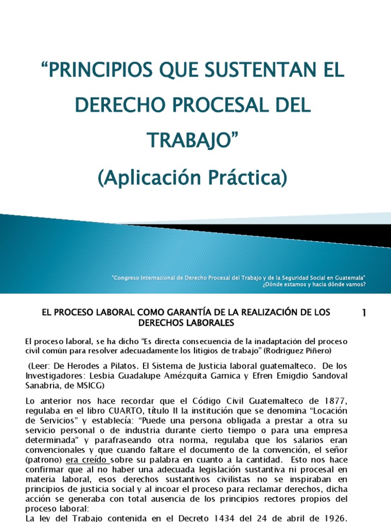 “principios Que Sustentan El Derecho Procesal Del Trabajo” Aplicación