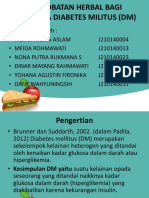 Pengobatan Herbal Bagi Penderita Diabete