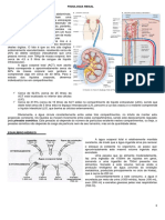 10 - Fisiologia Renal