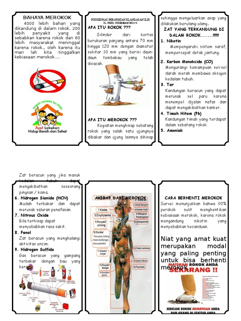 Bahaya Merokok dan Cara Berhenti | PDF