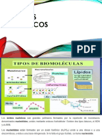 ÁCIDOS NUCLEICOS2