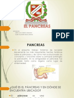 El Pancreas