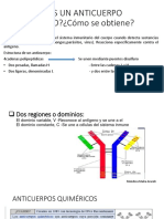Anticuerpos Quiméricos