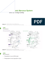 Slides 1 NervousSystem BrainAndNervousSystem