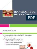 Transplante de Medula Óssea: A Única Esperança