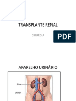 Transplante Renal - Slides