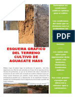 Esquema Grafico Del Terreno Cultivo de Aguacate Hass