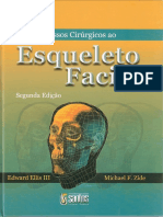 Acessos Cirúrgicos Ao Esqueleto Facial - 2 Edição - Ellis Zyde