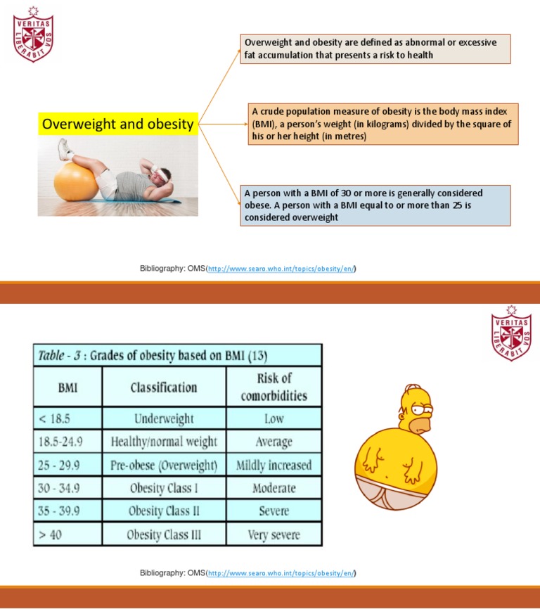 Understanding Obesity and BMI | PDF