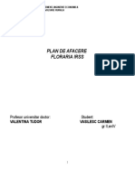 265189251-231264051-167271617-Plan-de-Afacere-Florarie.doc