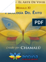 11 - Psicologia Del Exito