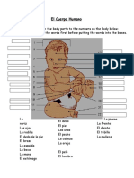 5110 Cuerpo Humano