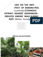 The Study On The Anti - Anemic Effect of Banana Peel Extract Against Gentamicin - Induced Anemic Male Albino RATS (Rattus Norvegicus)