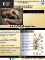 4 - Sensaciones Somáticas
