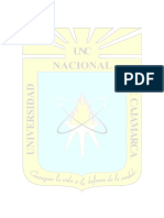 Universidad Nacional de Cajamarca Tesis