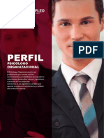 Perfil, Psicólogo Organizacional.pdf