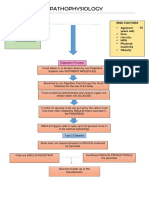 Pathophysiology: Etiology Risk Factors 75 Years Old)