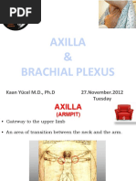 Brachial Plexus