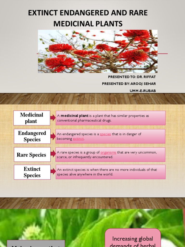 Extinct Endangered and Rare Medicinal Plants Clinical Medicine Wellness