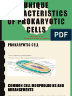 Unique Characteristics of Prokaryotic Cells