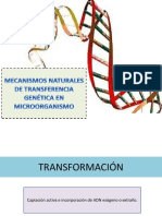 Mecanismos Naturales de Transferencia Genética en Microorganismo