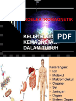 Bioelektromagnetik