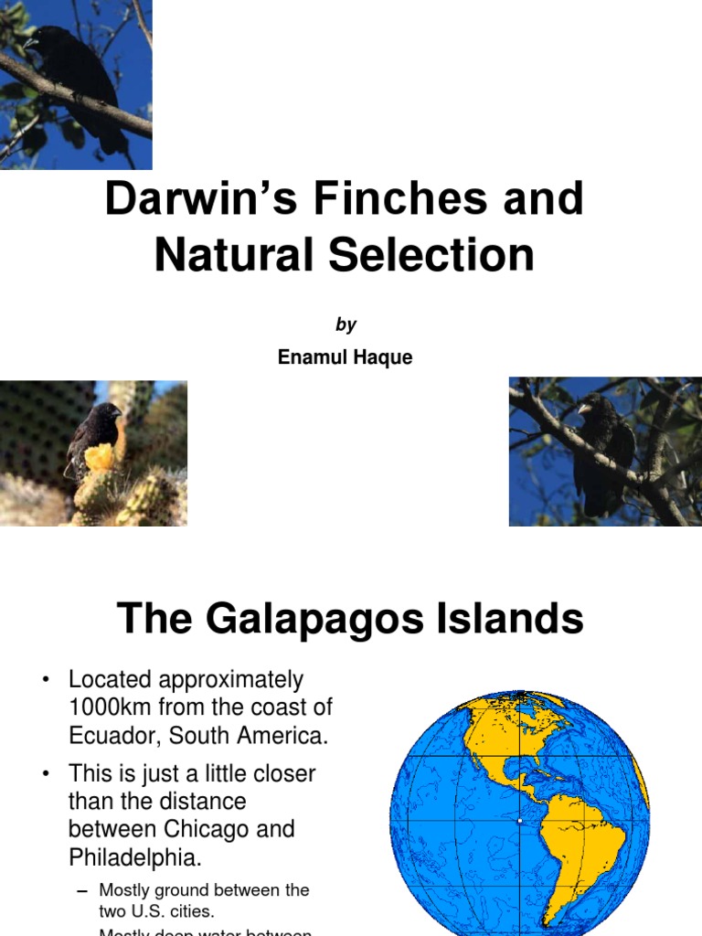 Darwin's Finches and Natural Selection Enamul Haque Download Free