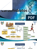 Practica 6 - Carbohidratos
