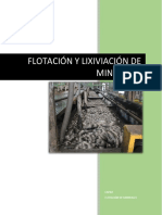 Flotación de Minerales