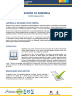 pasos para una auditoria.pdf