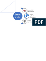 Stem Cells in Reproductive Medicine