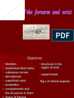 Anatomy of Forearm and Wrist