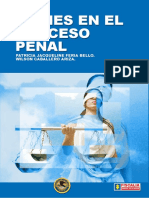 BIENES EN EL PROCESO PENAL.pdf