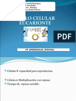 2º Año Medio - Biología Mitosis