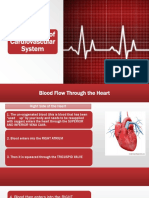 Assessment of Cardiovascular System