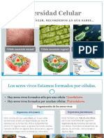 Clase 2. Diversidad Celular (Procariontes-Eucariontes)