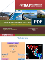 Metabolismo Ciclos Biogeoquímico-1