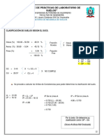 DETERMINACION DE SUELOS